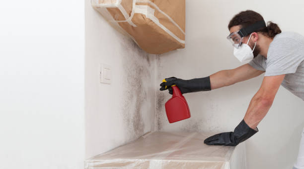 Professional Black Mold Removal technician working in West Milford, NJ