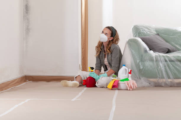 Reliable Black Mold Removal contractor in West Milford, NJ by WQB Mold Removal